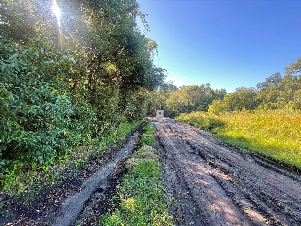 Photo of Pevetty Drive, Plant City, FL 33563 (MLS # TB8439928)