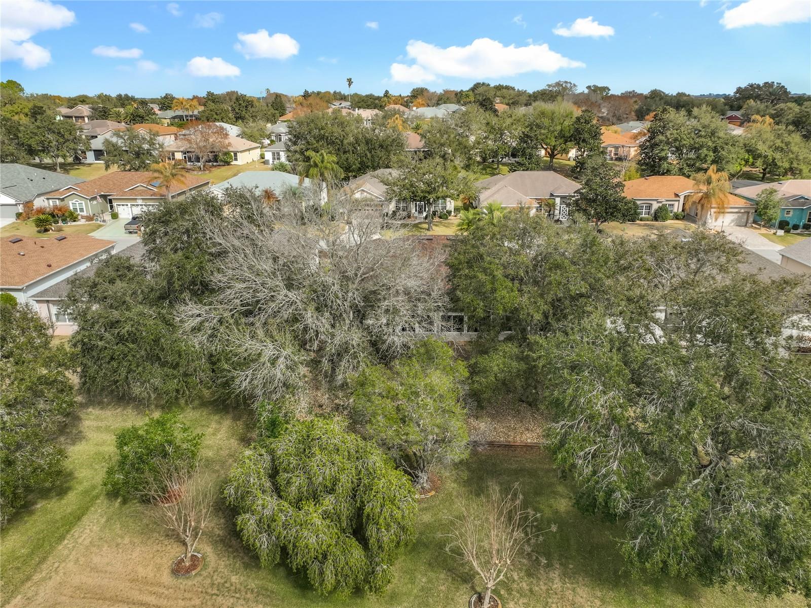 PLANTATION AT LEESBURG NOTTOWAY VILLAGE - Residential