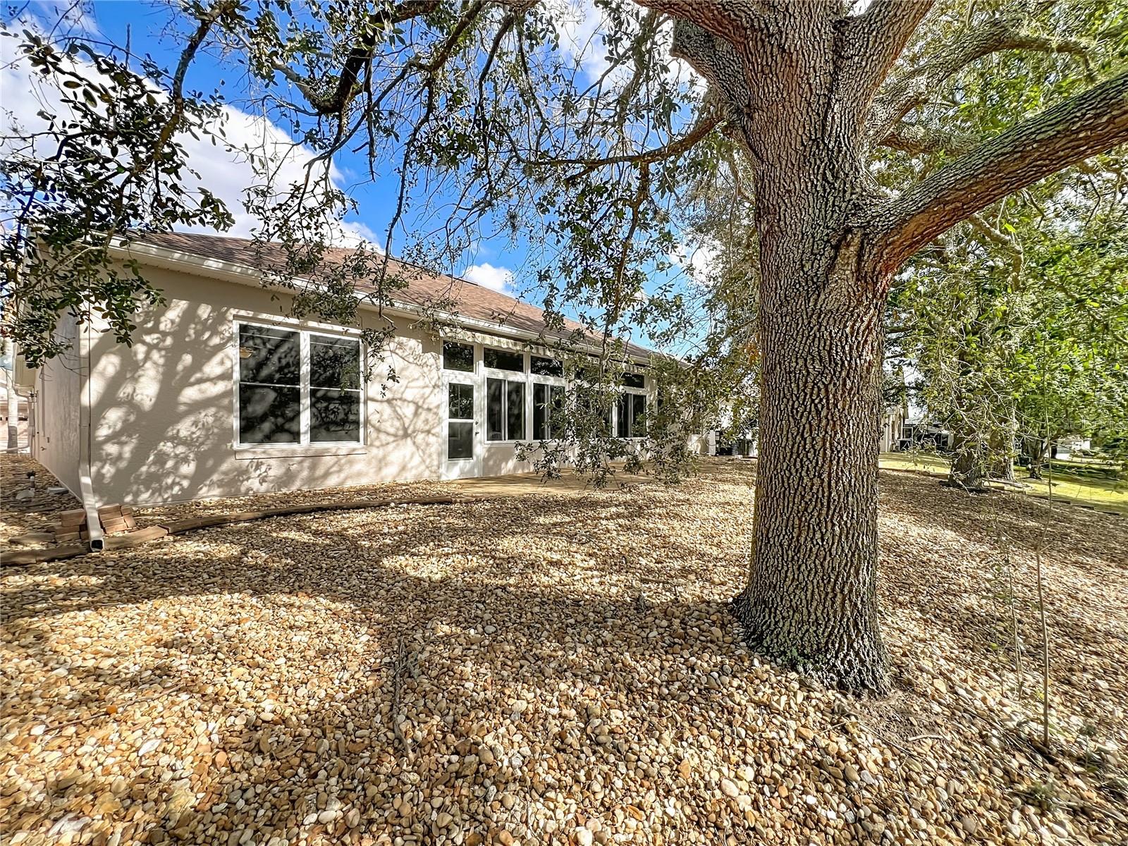 PLANTATION AT LEESBURG NOTTOWAY VILLAGE - Residential