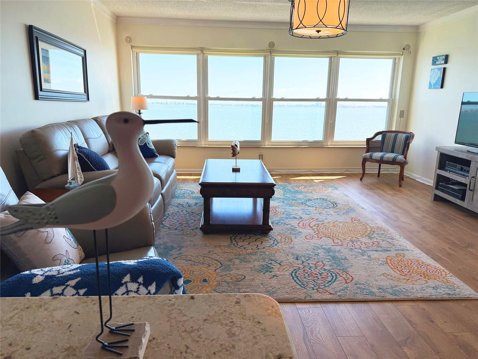 TOWN SHORES OF GULFPORT - Residential