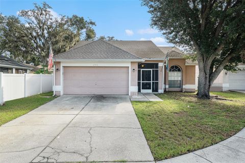 Photo of 4704 Stove Place, Valrico, FL 33596 (MLS # TB8436204)