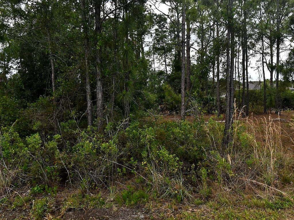 Photo of Blackman Street, North Port, FL 34291 (MLS # O6434712)