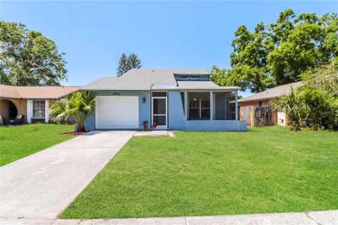 16012 BALLICA DRIVE TAMPA FL 33618