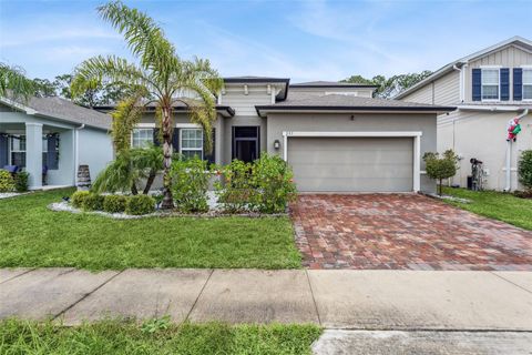 297 SIESTA VISTA COURT DAVENPORT FL 33896