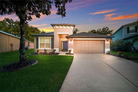 Photo of 17463 New Cross Circle, Lithia, FL 33547 (MLS # A4695815)