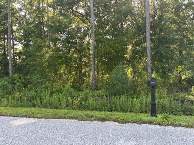 Come check out this prime building lot in Ocala Park Estates. Build your forever home or hold onto it for future use. Situated close to the World Equestrian Center, this location benefits from nearby amenities, including shopping and restaurants.