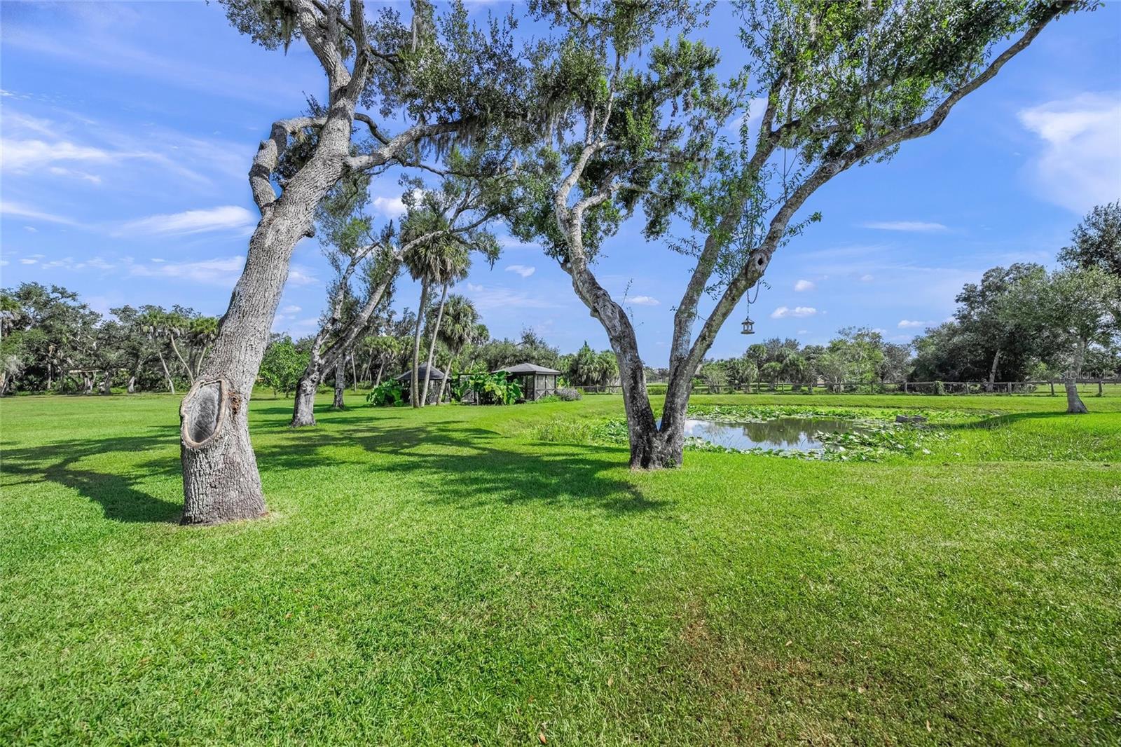 SADDLE CREEK - Residential