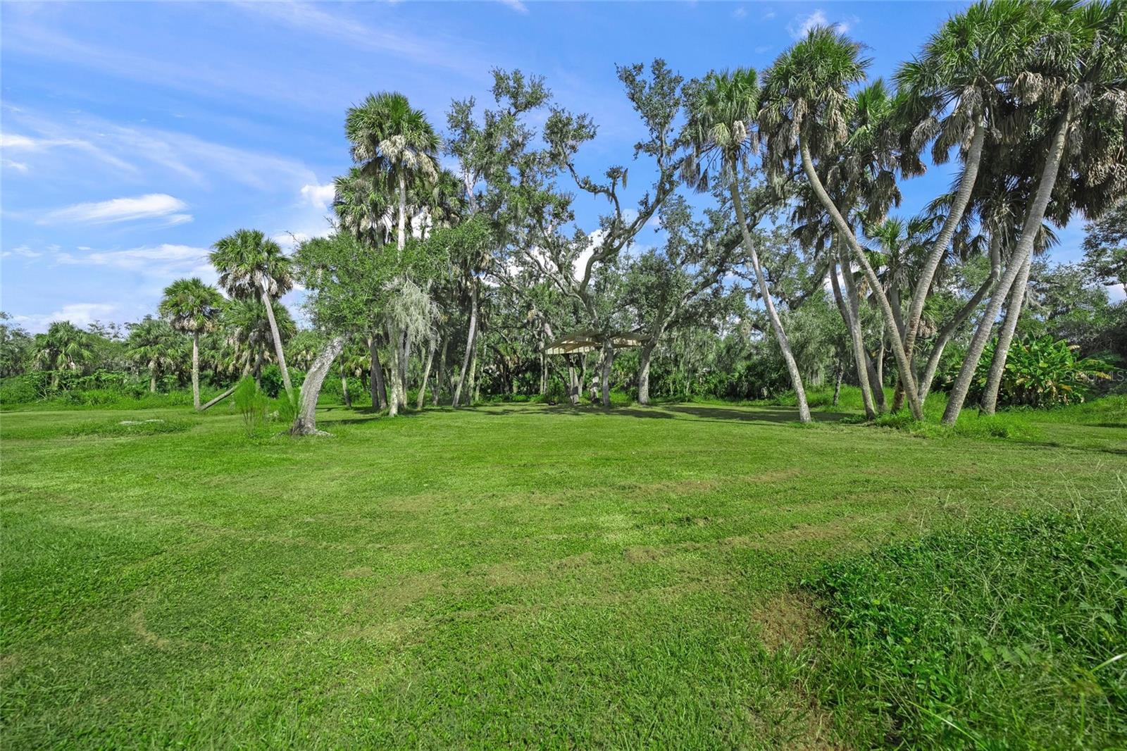 SADDLE CREEK - Residential