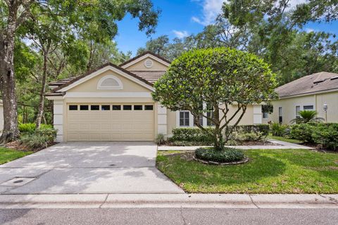 15314 SHERWOOD FOREST DRIVE TAMPA FL 33647