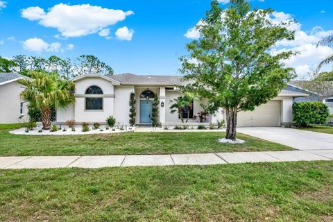 Photo of 447 Whispering Lakes Boulevard, Tarpon Springs, FL 34688 (MLS # TB8473439)