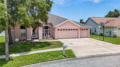 A home in WESLEY CHAPEL