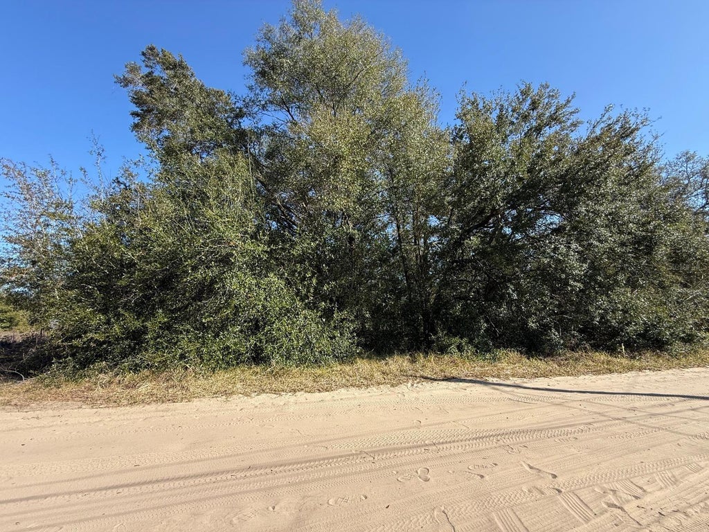 Photo of 14127 Saul Lane, Port Charlotte, FL 33981 (MLS # S5159680)