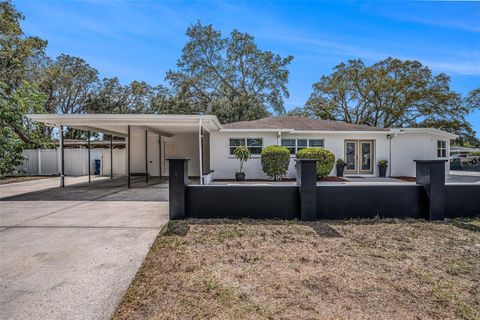 202 W AZALEA AVENUE TAMPA FL 33612