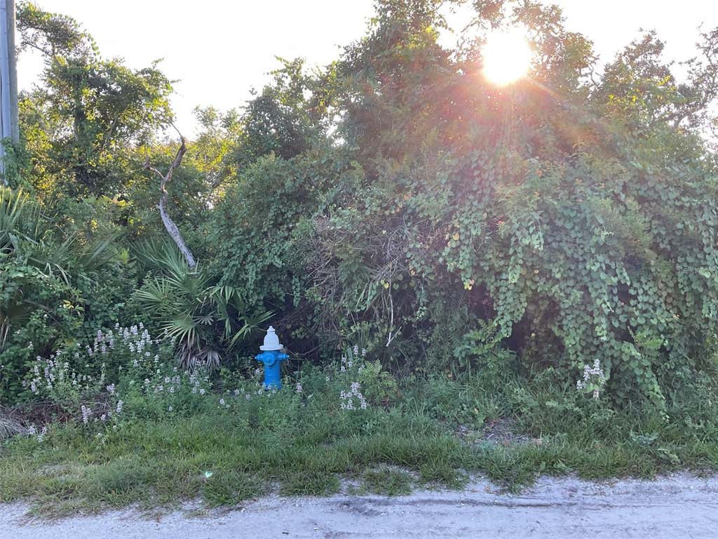 Photo of 5 Dogwood Terrace, Palm Coast, FL 32137 (MLS # FC320792)