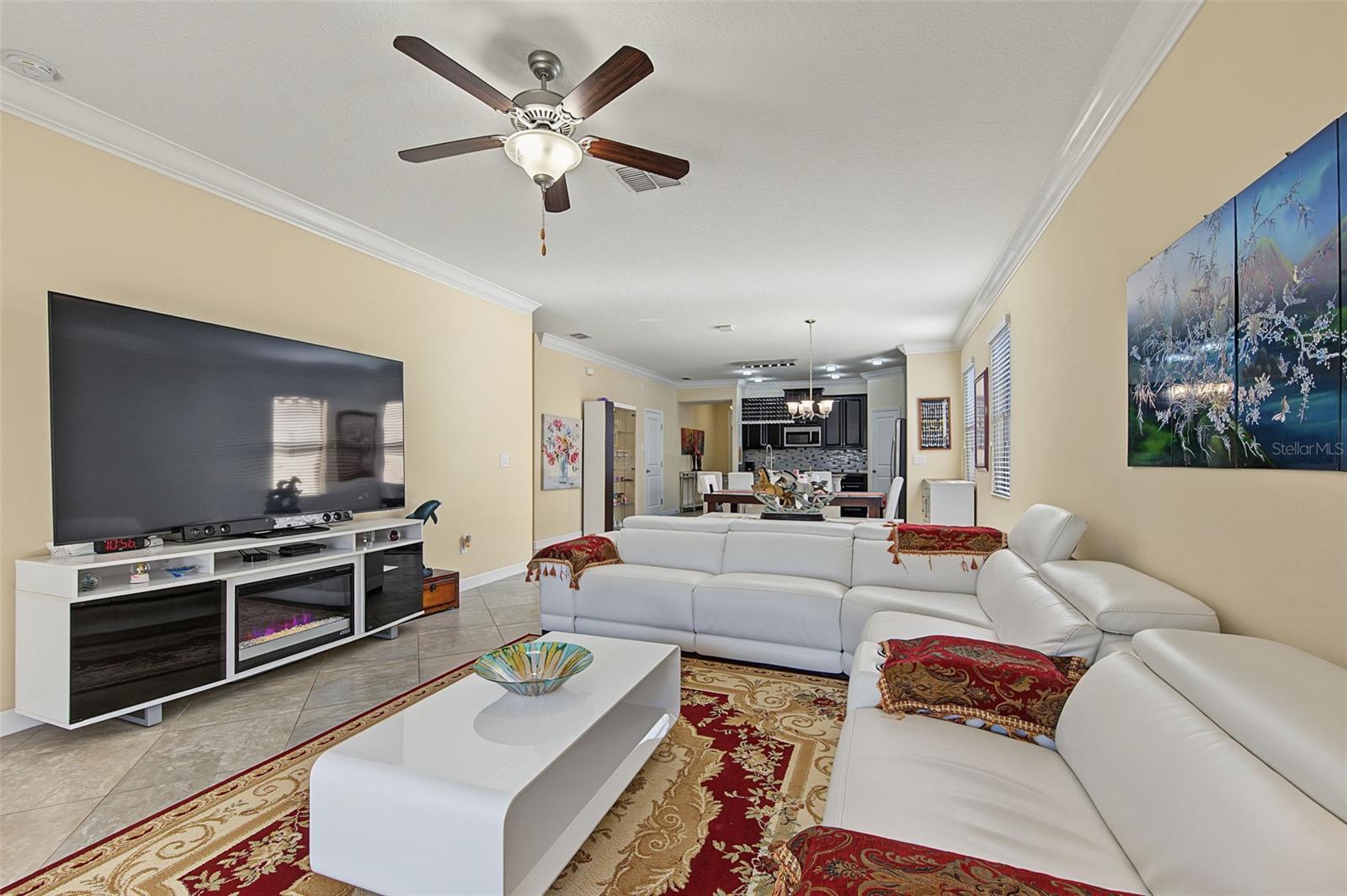 13175 GREEN VIOLET DRIVE, RIVERVIEW, FL, 33579 3 13175 GREEN VIOLET DRIVE