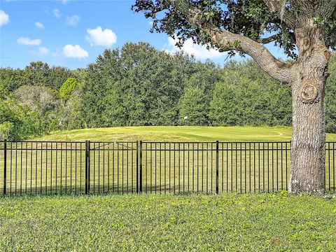 Tiny photo for 24214 Marbella Drive, Sorrento, FL 32776 (MLS # G5102782)