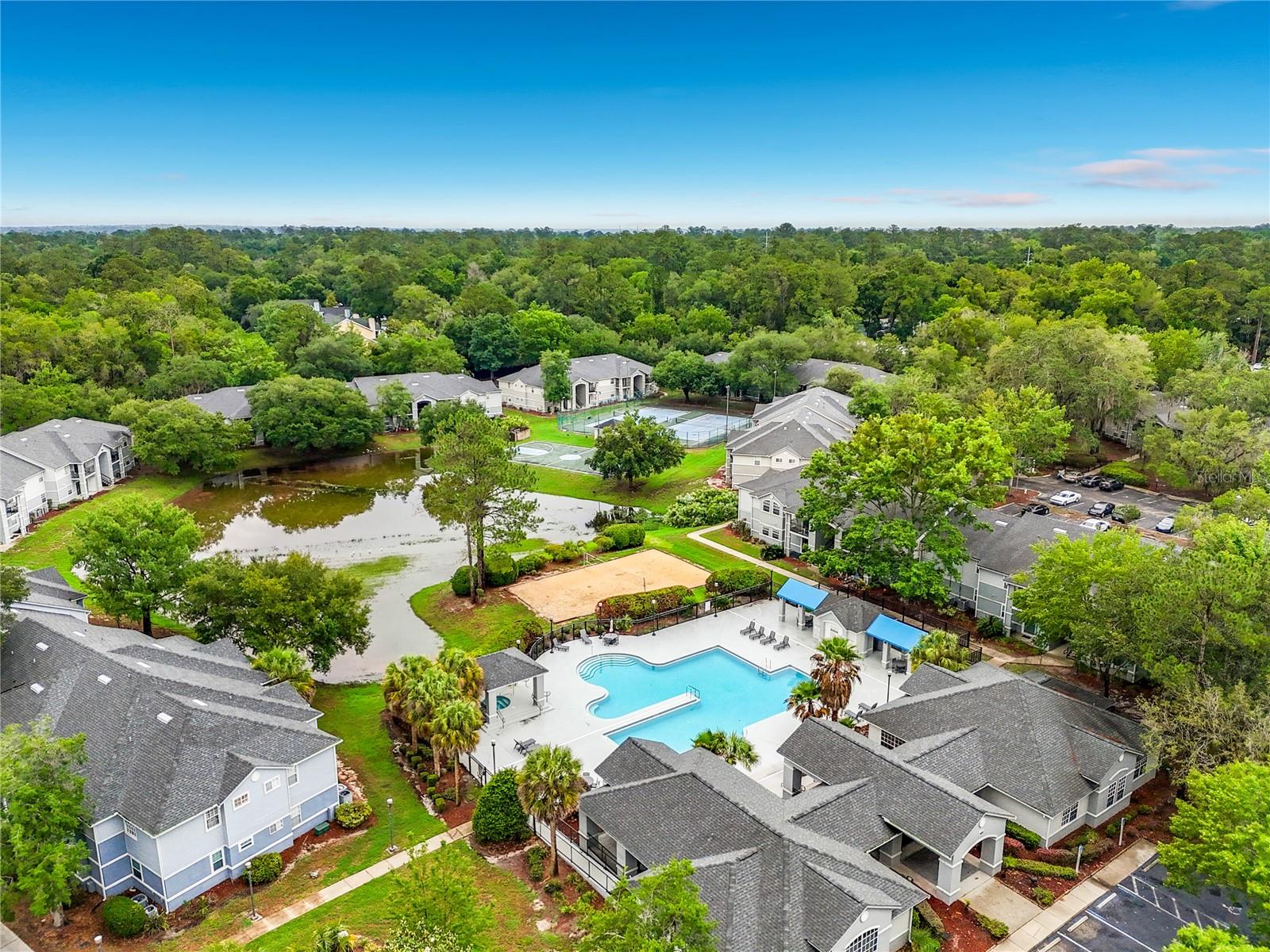 WINDSOR PARK AT GAINESVIL - Residential