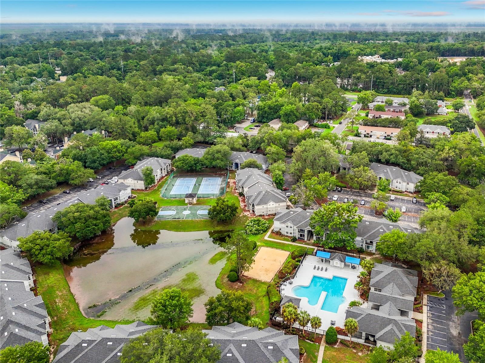 WINDSOR PARK AT GAINESVIL - Residential