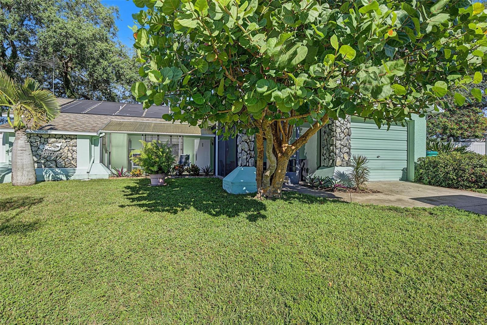 2437 FIELDCREST COURT