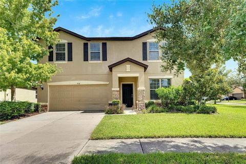 A home in RIVERVIEW