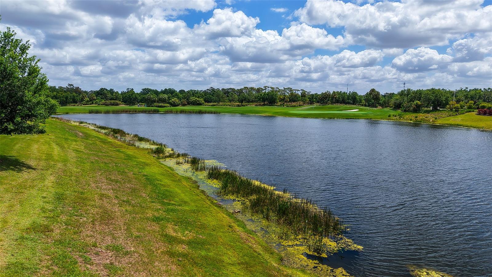 BACCIANO III AT ESPLANADE LAKEWOOD RANCH - Residential