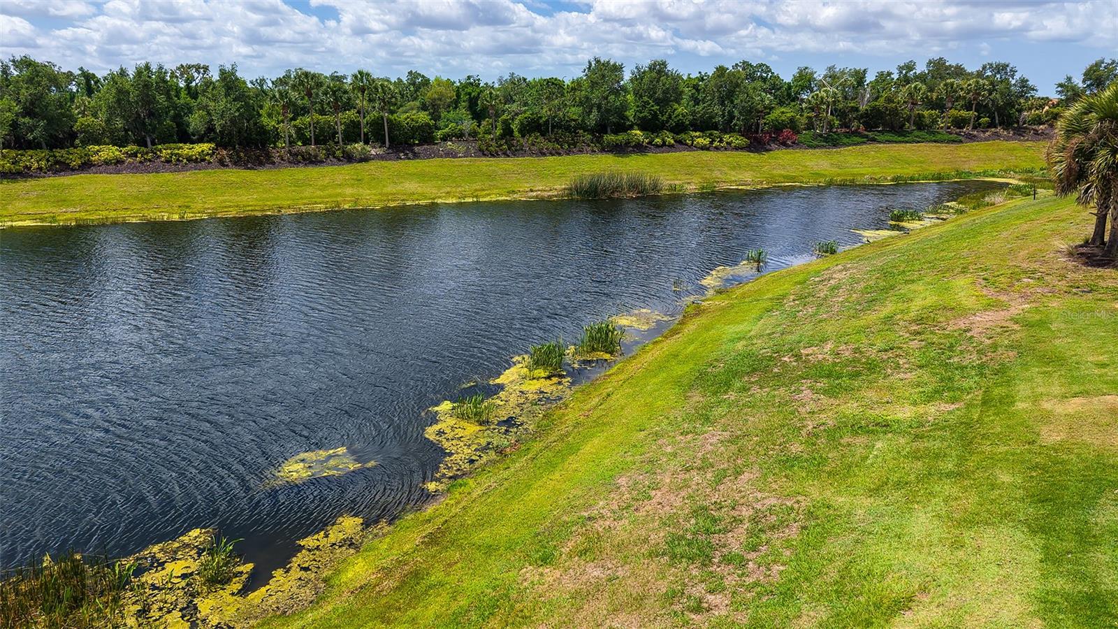 BACCIANO III AT ESPLANADE LAKEWOOD RANCH - Residential