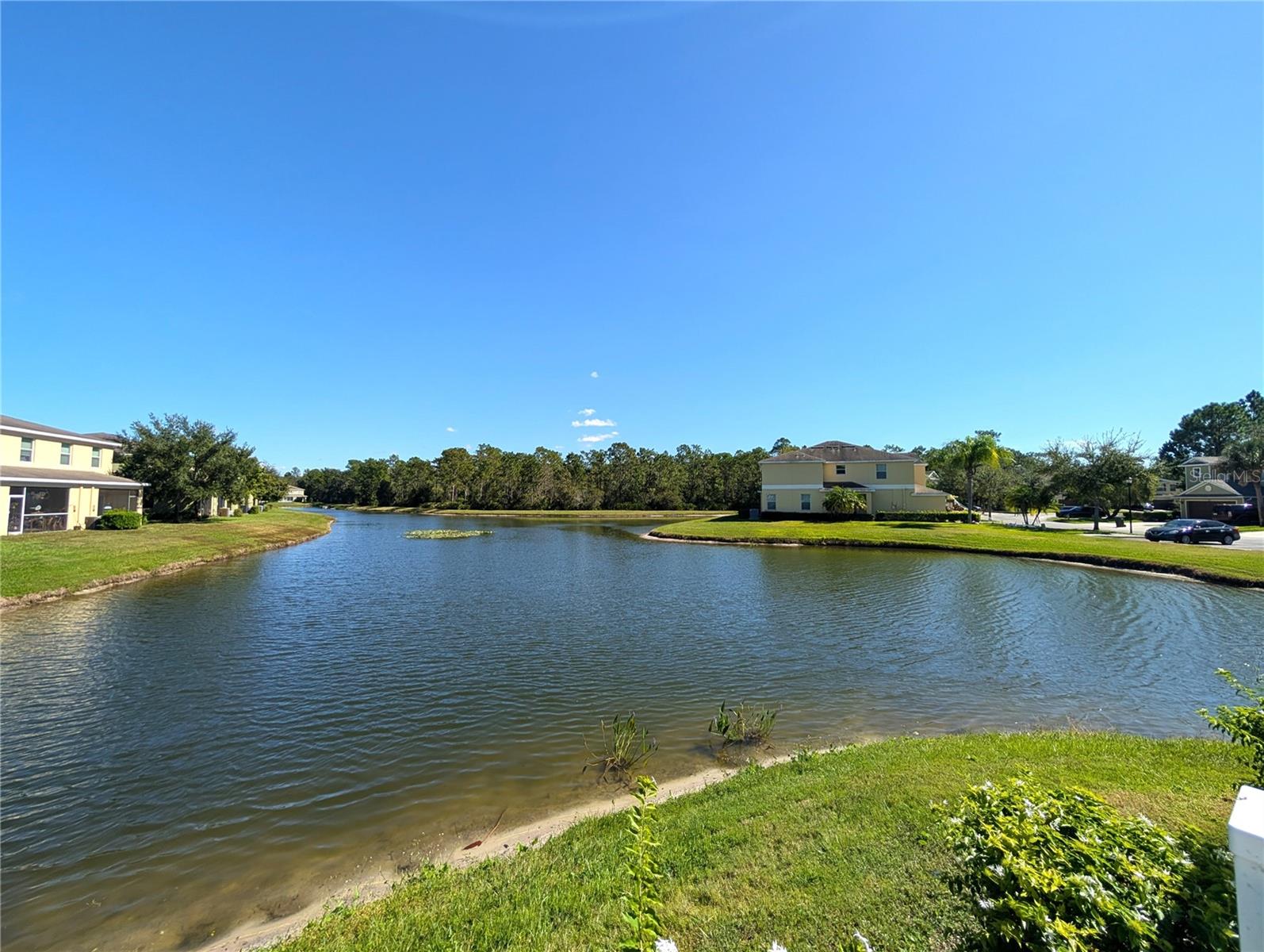 HAMMOCKS - Residential Lease