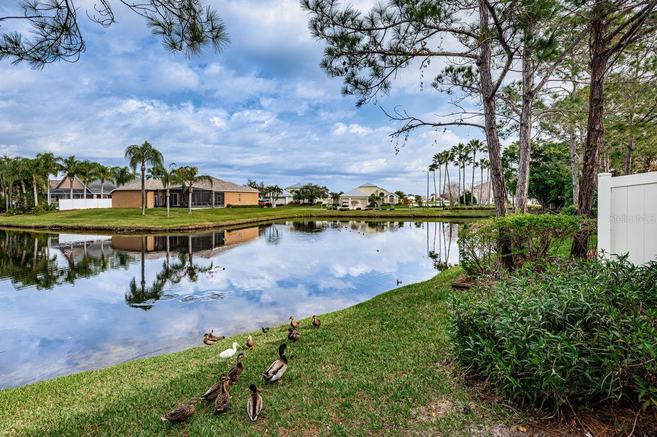 BRIGHTON BAY - Residential