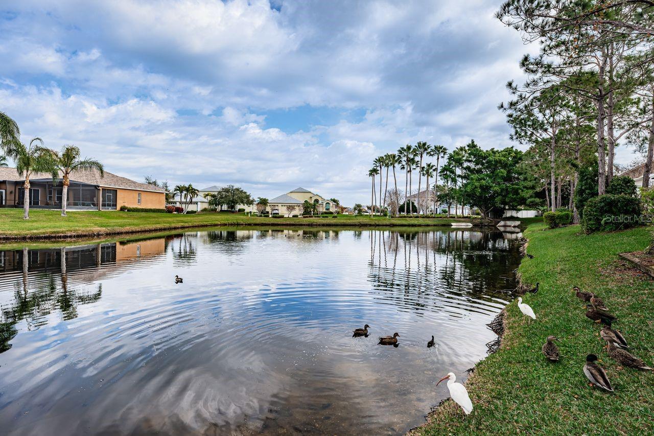 BRIGHTON BAY - Residential
