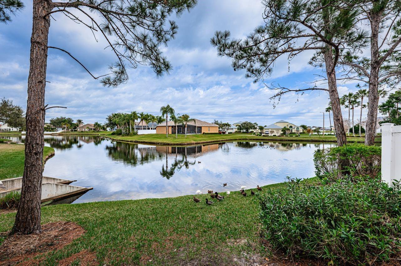 BRIGHTON BAY - Residential