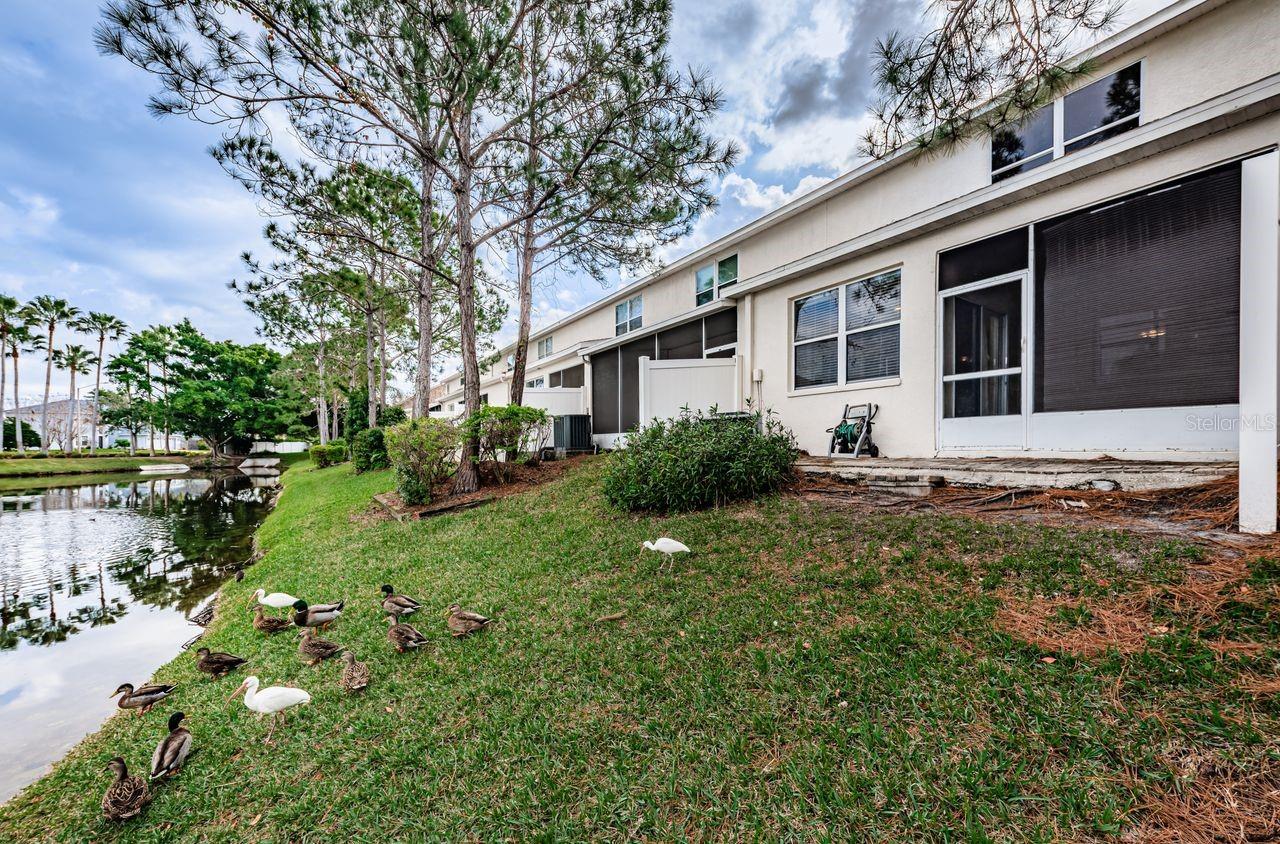 BRIGHTON BAY - Residential