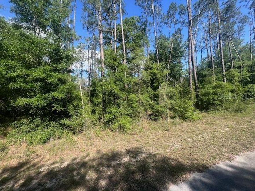 The perfect canvas for your dream home in the heart of Dunnellon, FL! This pristine 1.98-acre vacant lot is an ideal location within Marion County, offering the rare advantage of being high and dry in flood zone X. With R-1 zoning, envision endless possibilities to create your oasis in this rural setting. Situated just 25 miles from Ocala, and a 30-minute drive from both Crystal River State Park and Devil's Den Park, this property promises convenience and proximity to nature's finest treasures.