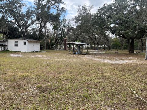 A home in PLANT CITY