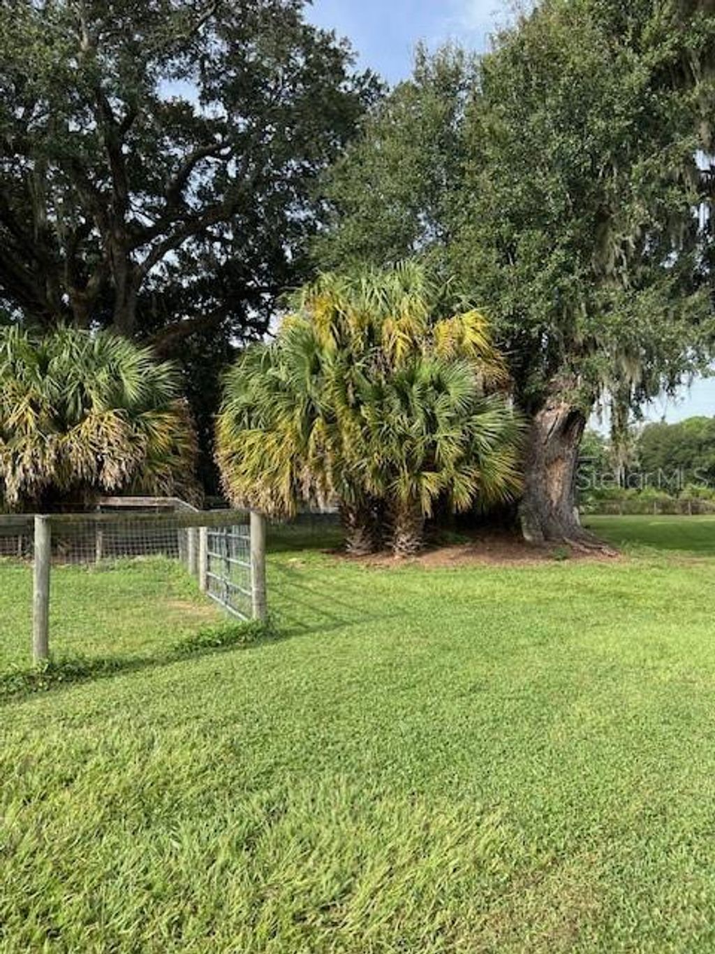 listing image 38