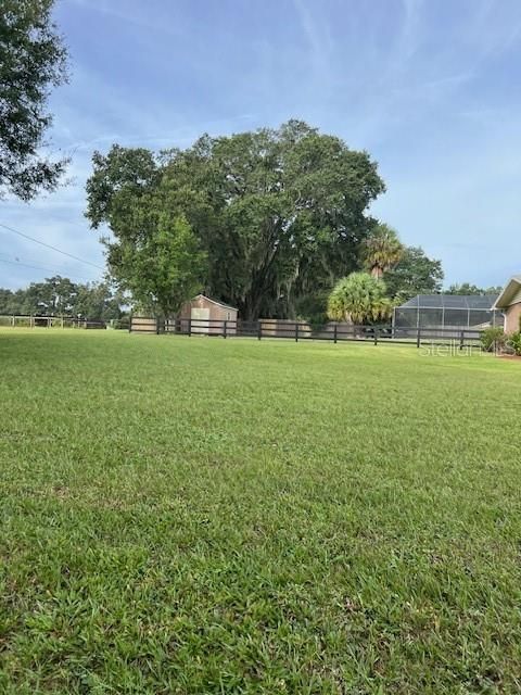 listing image 41