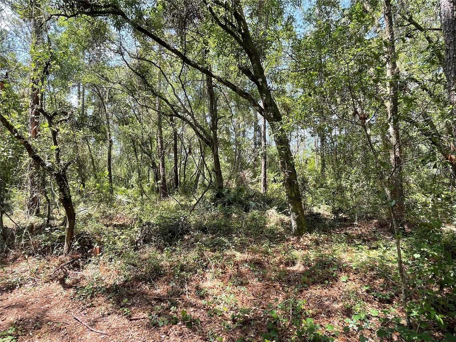 RIDGE MANOR ESTATES - Land