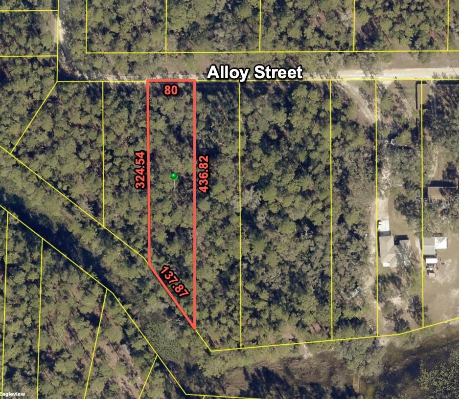 This is the one! Beautiful .77 acre canal-front residential lot with electricity out front on the street. Waterfront on the canal between Long Lake and Lake Adriane! High and Dry and NOT in a flood zone. Fish in your back yard or just enjoy the view! Build your dream home today or invest in your future! Located in the Ridge Manor subdivision in Hernando County. Welcome to Florida's Adventure Coast, abundant with rivers and springs, state forests and preserves, and the waters of the Gulf coast. Land and water adventures await you arrival. Go hiking, biking, riding, boating and more. Shopping, dining, and entertainment are all nearby. Easy access to I-75, US 301 and SR 50 make Ocala, Orlando, and the Tampa Bay area all an easy commute. Buy this .77 acre lot today for a quick cash price of $22,900. That's far below nearby comparable sales and WAY below nearby properties on the market! Listing agent has an ownership interest in the property.
7255 Alloy Street: The subject is a vacant lot and does not yet have an assigned address. The address used is for listing purposes only and is based on online mapping sources. North on US 301 (Tremaine Blvd) from Cortez Blvd (SR 50) for approx. 1.4 miles. Left turn (West) on Baker Blvd for .4 miles to Glenchester Drive. Right turn (North) on Glenchester Drive for .5 mile to Alloy Street. Turn left (West) on Alloy Street. The subject will be on your left, approximately .3 mile down.