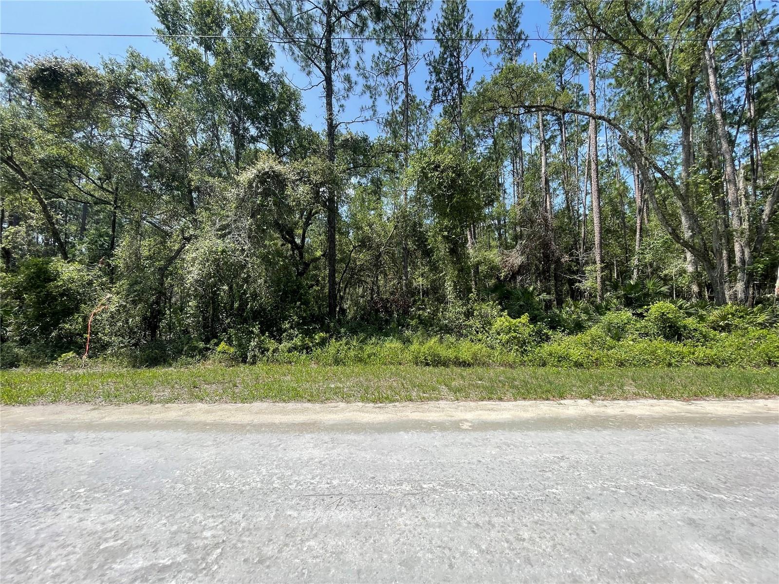 RIDGE MANOR ESTATES - Land