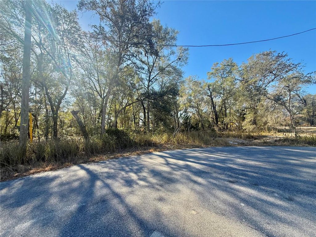 Photo of Tbd Locust Pass Ct, Ocala, FL 34472 (MLS # OM718028)