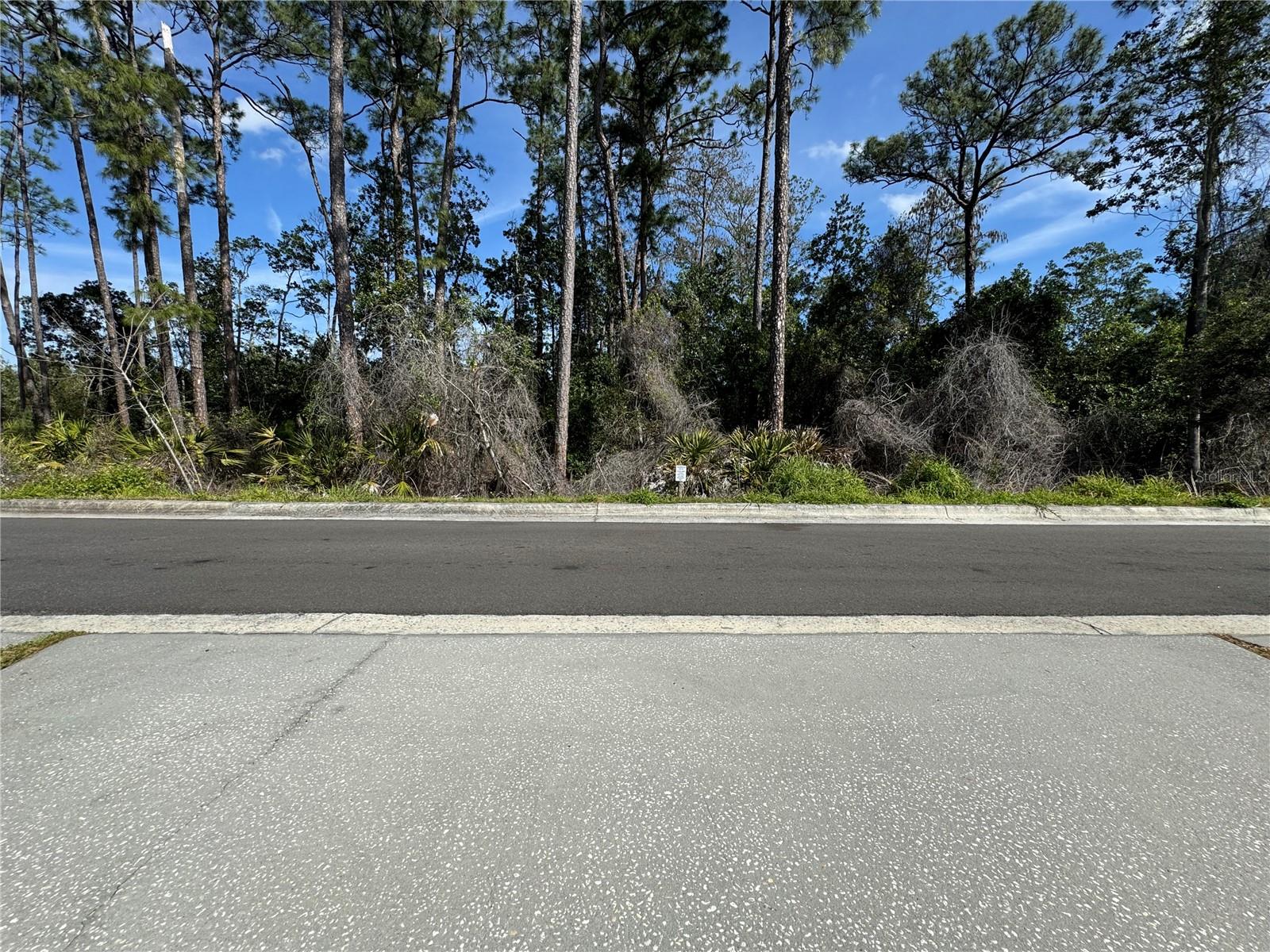 LAKES/WINDERMERE-LK REAMS TWNH - Residential Lease