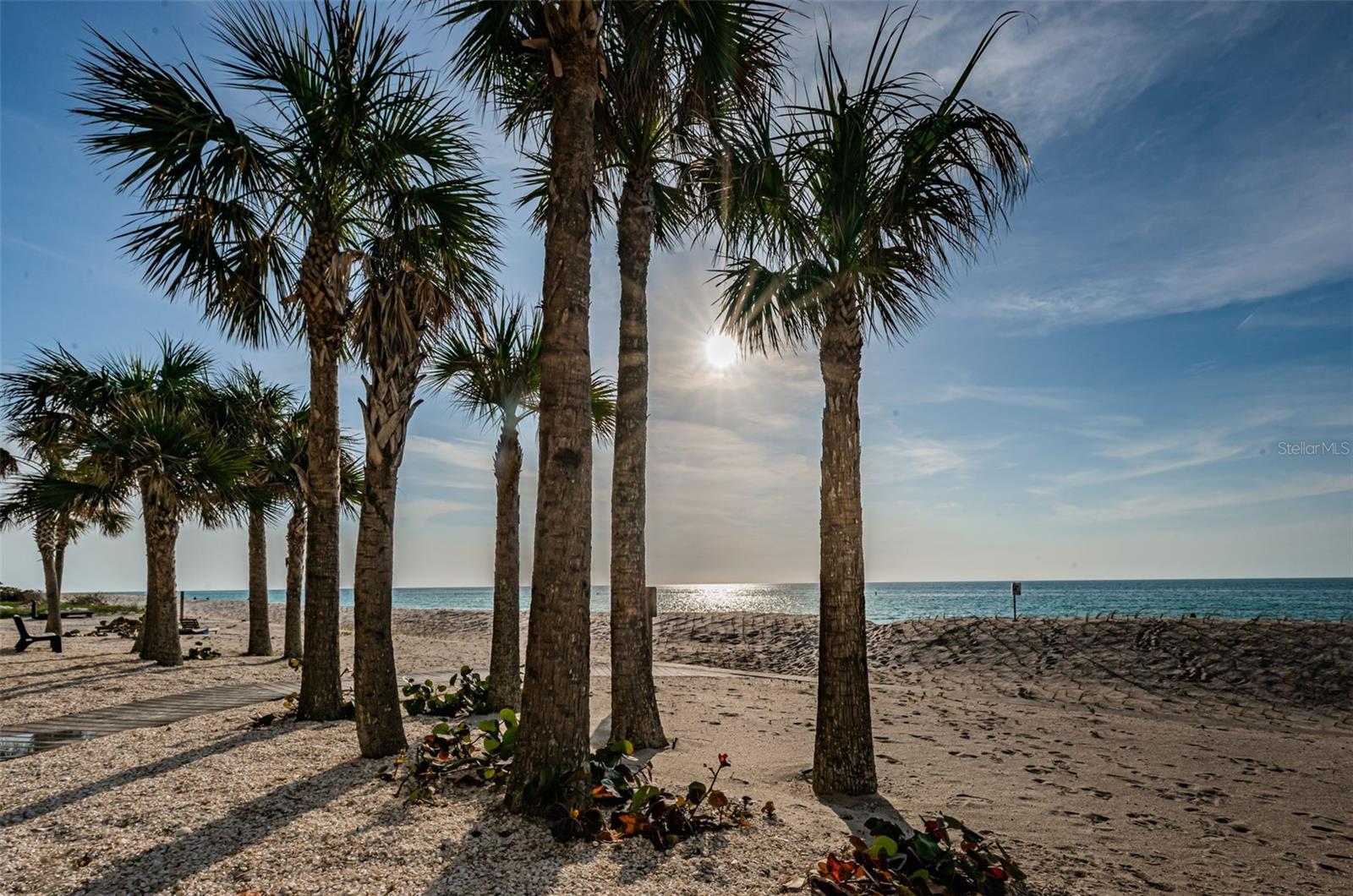 DANS ISLAND ON SAND KEY CONDO - Residential
