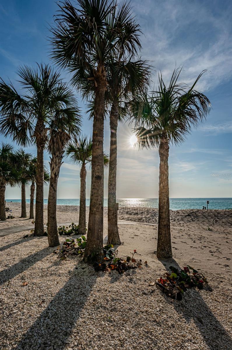DANS ISLAND ON SAND KEY CONDO - Residential