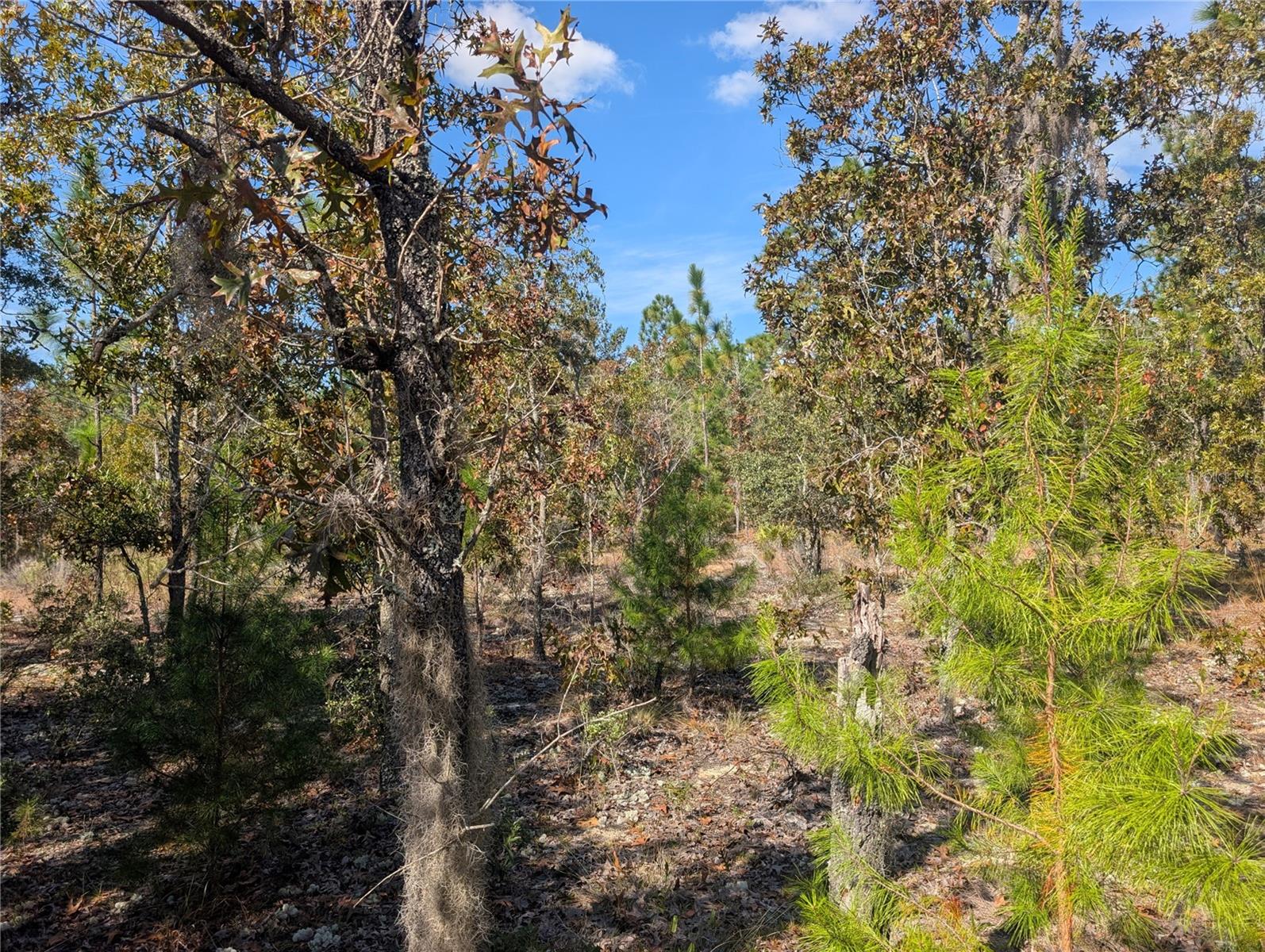 INTERLACHEN GARDENS - Land