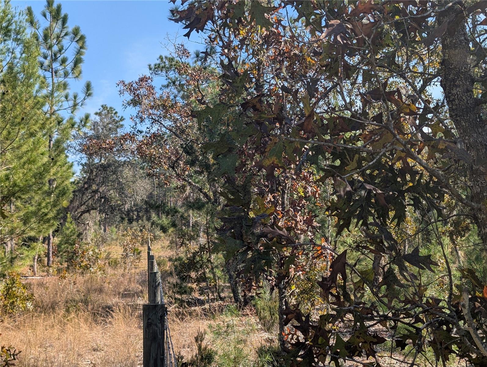 INTERLACHEN GARDENS - Land