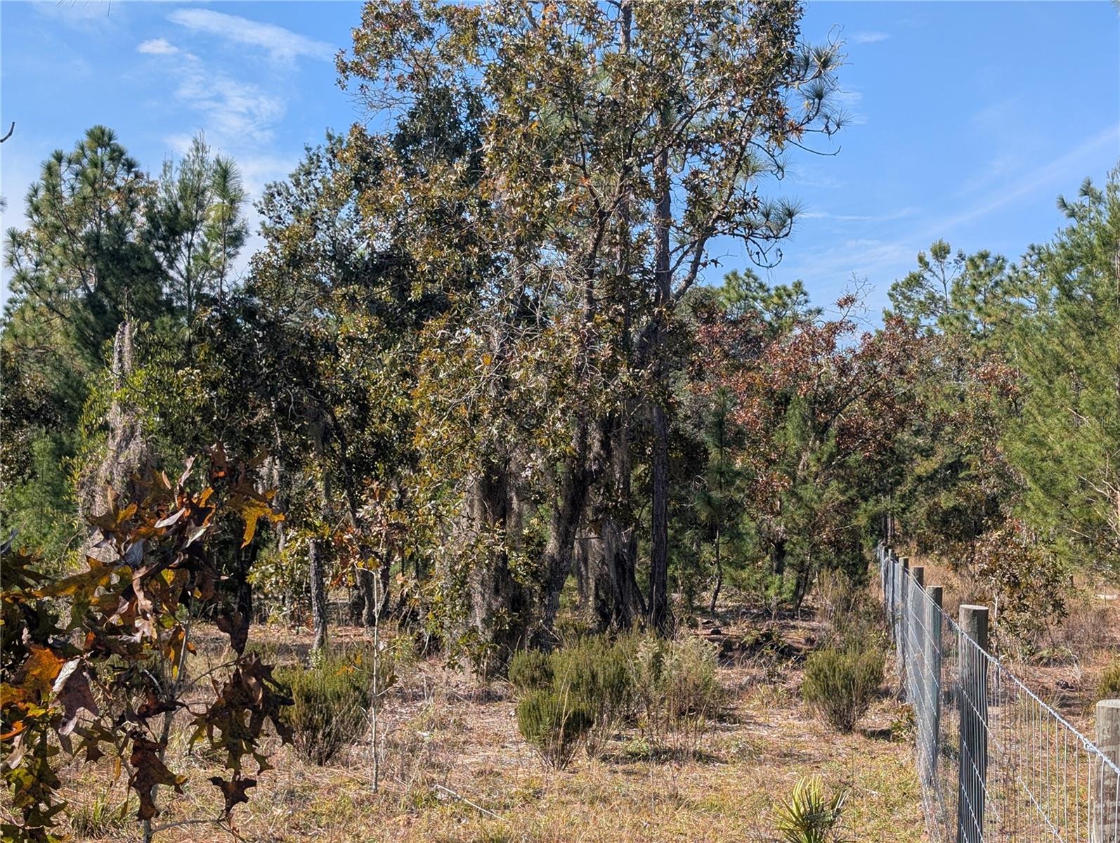 INTERLACHEN GARDENS - Land