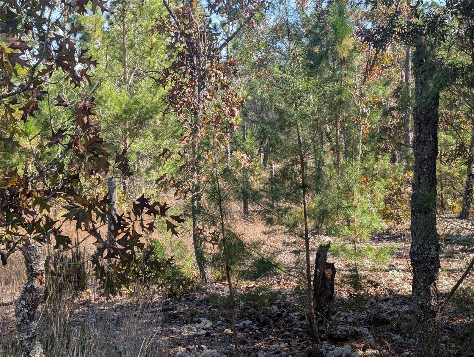 INTERLACHEN GARDENS - Land