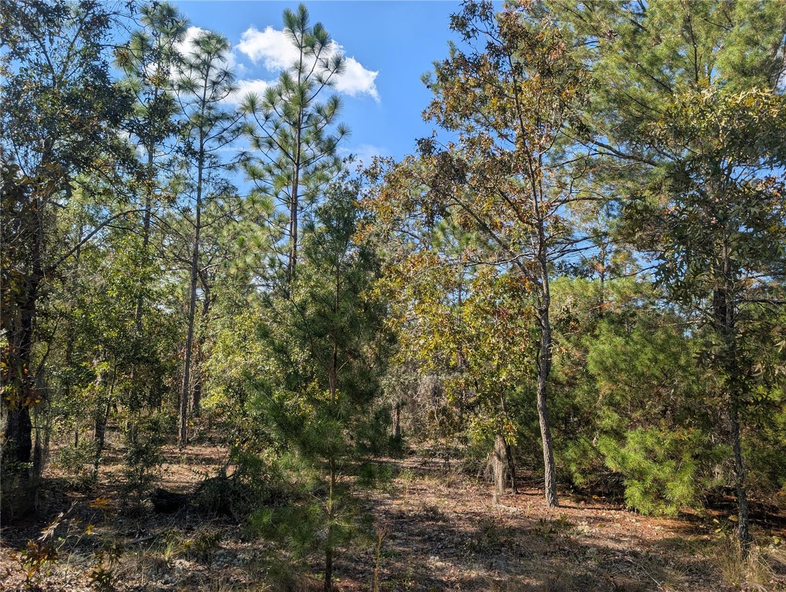 INTERLACHEN GARDENS - Land