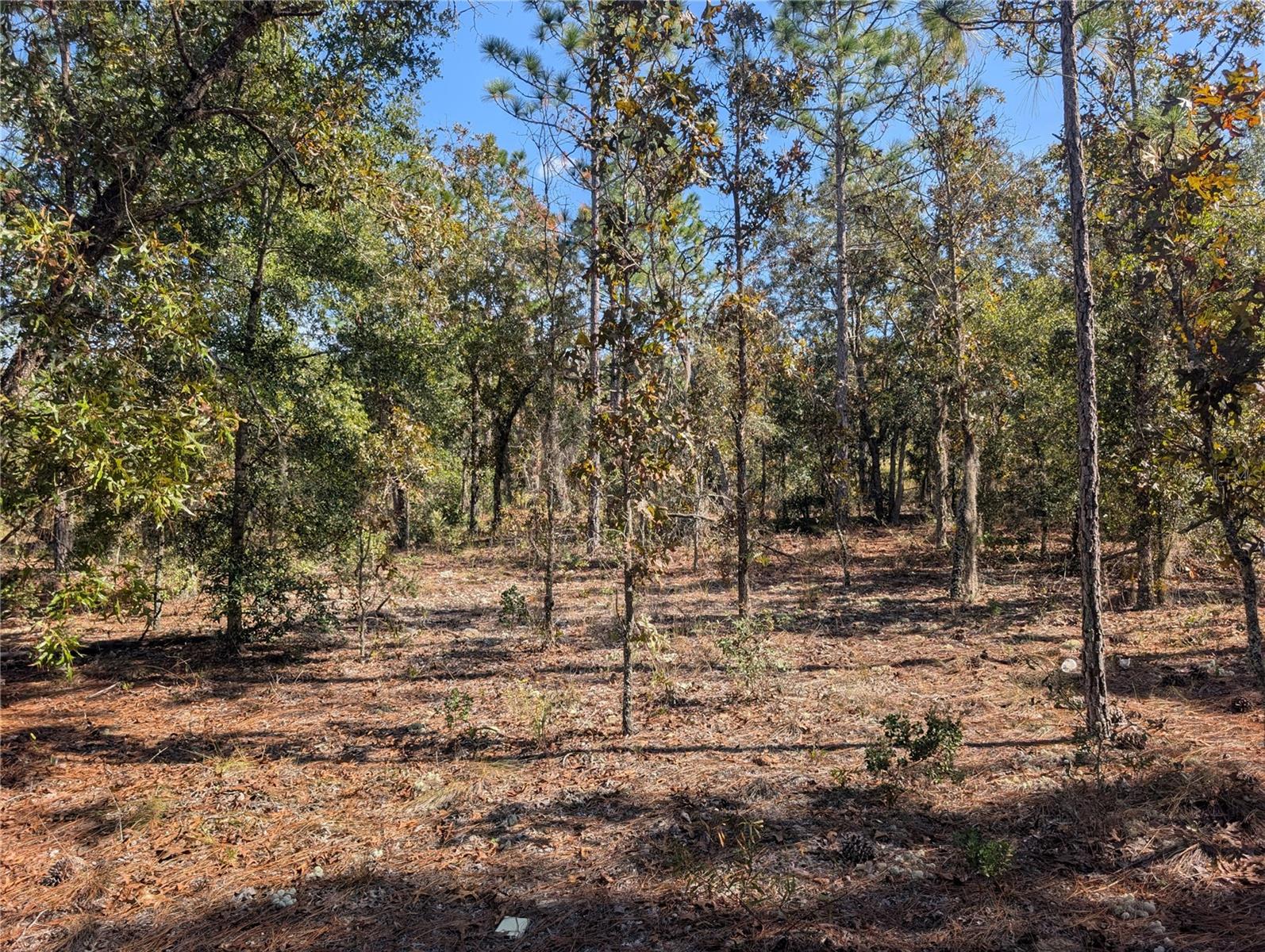 INTERLACHEN GARDENS - Land