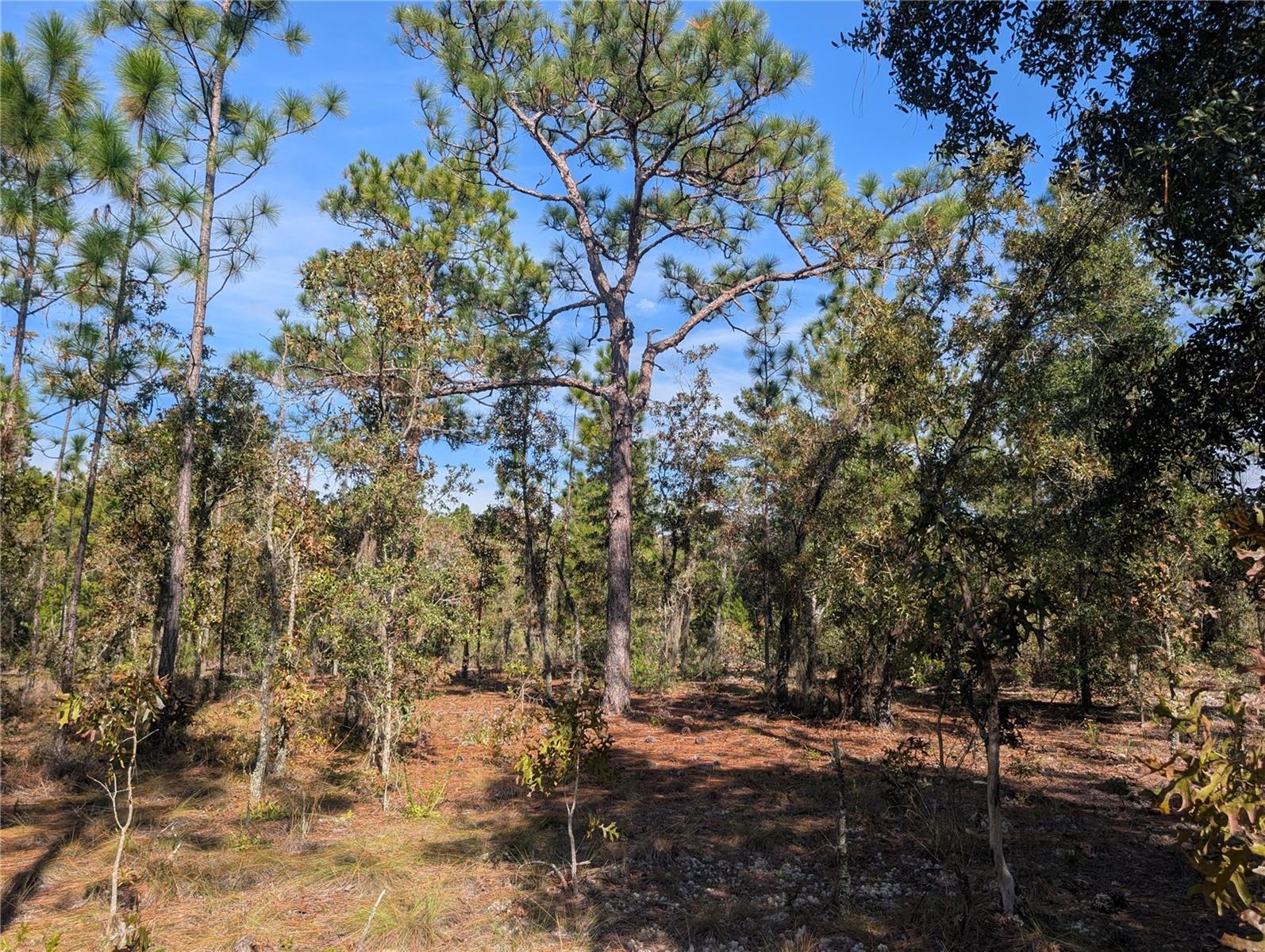 INTERLACHEN GARDENS - Land