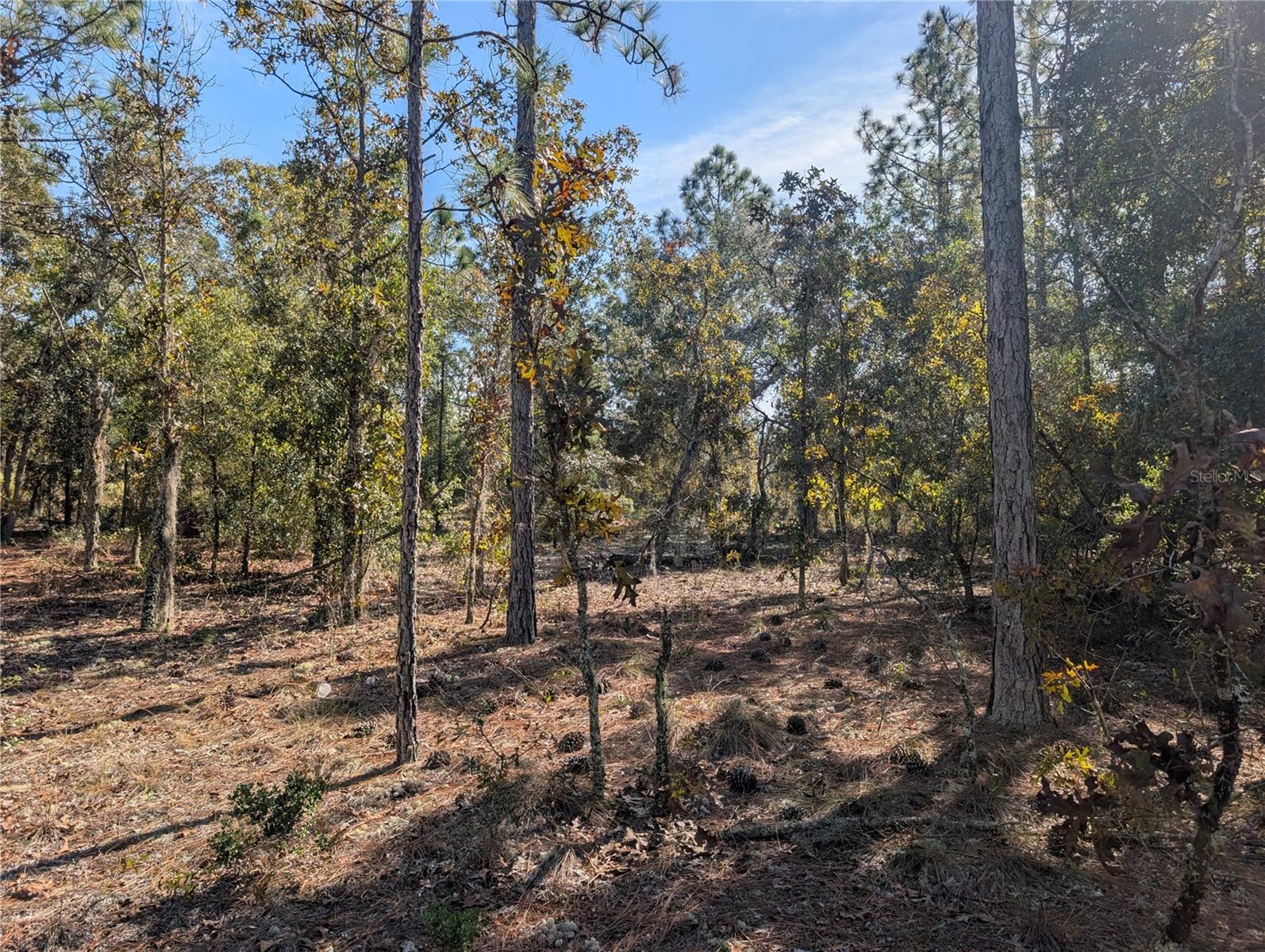 INTERLACHEN GARDENS - Land